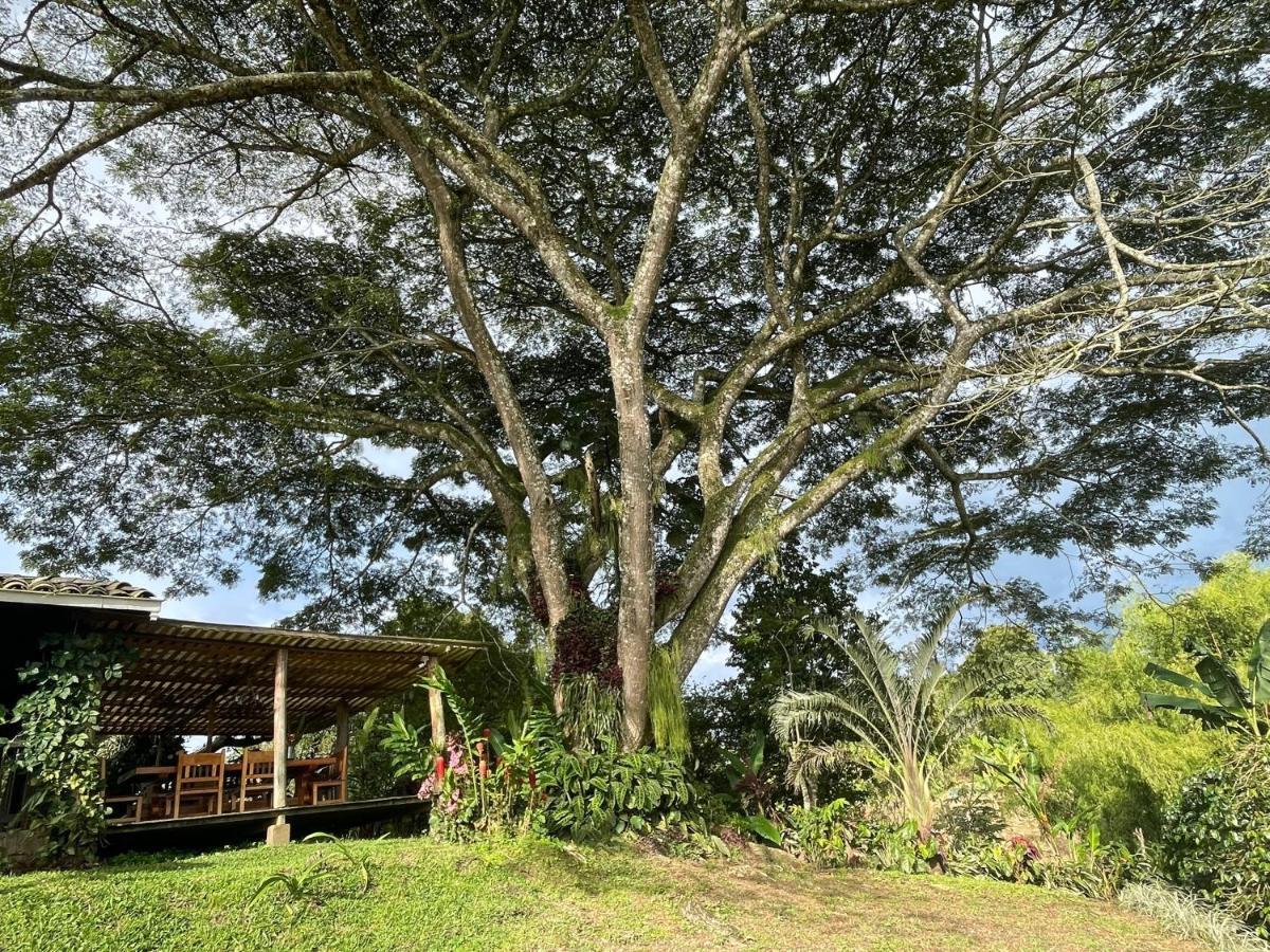 Muchosur Quimbaya Hotell Exteriör bild