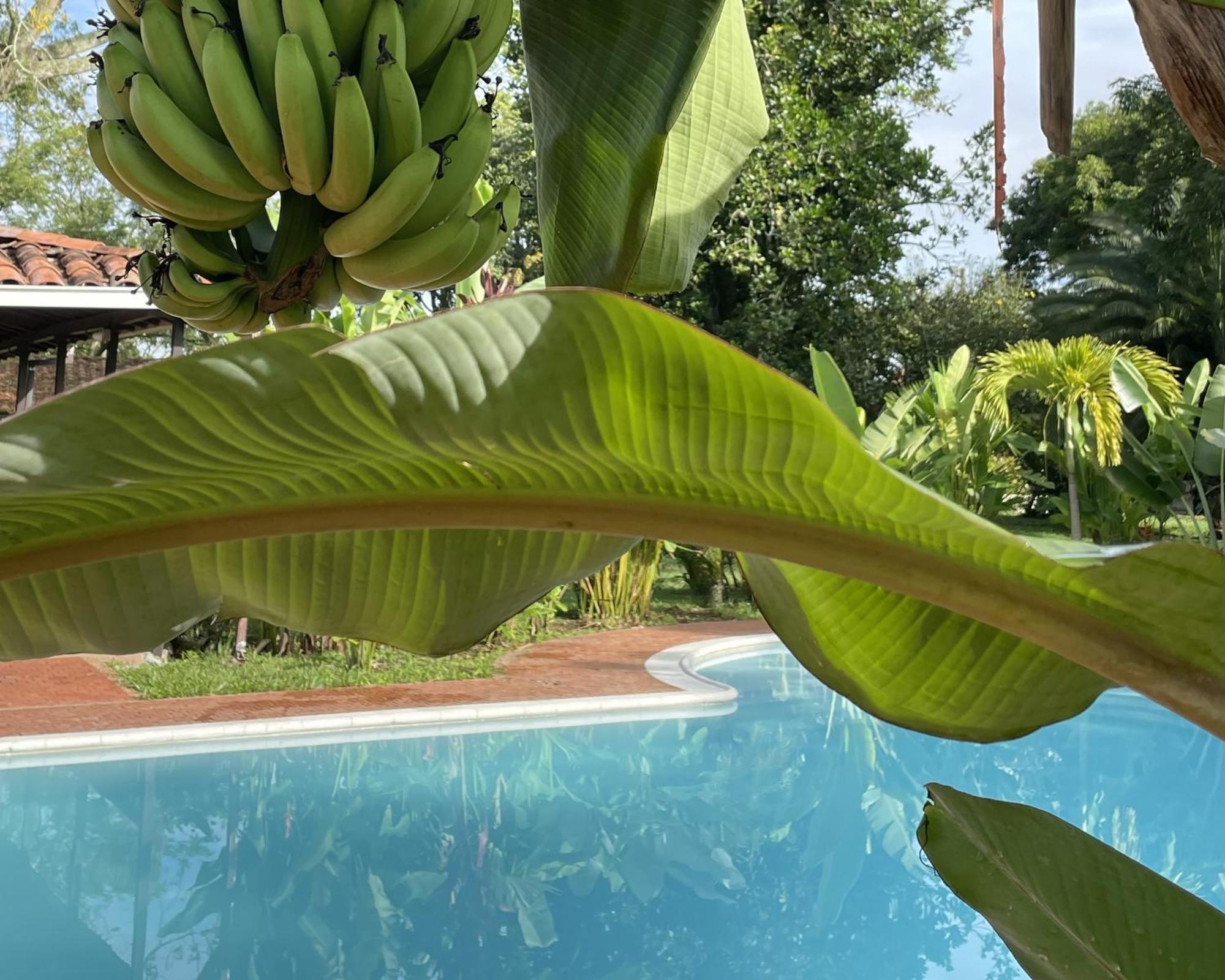 Muchosur Quimbaya Hotell Exteriör bild